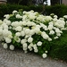 .WAARSCHOOT 006