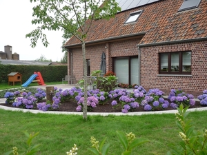 WAARSCHOOT 015