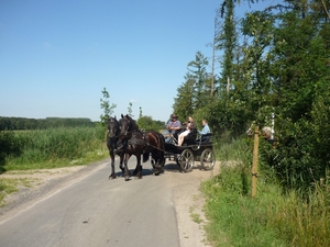 1107.03.ST PIETERSVELD ALLEMAAL KOETSEN