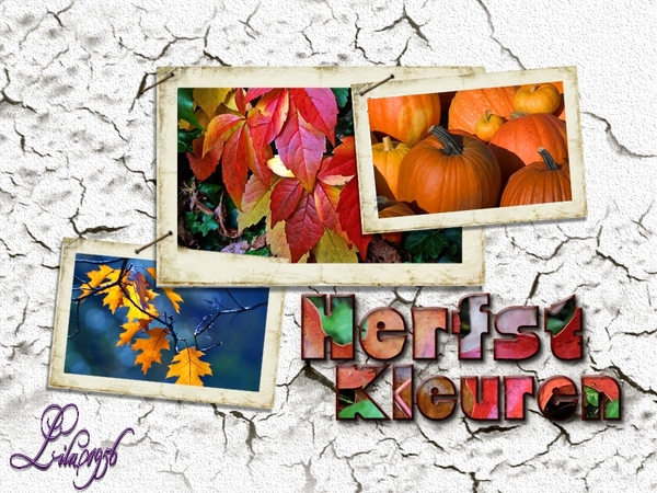 herfst frame gaviota