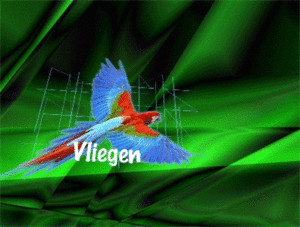 vliegen-3d