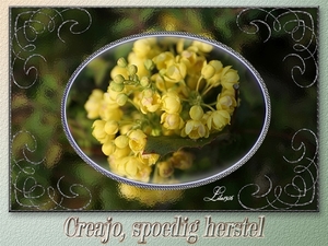 Creajo, spoedig herstel