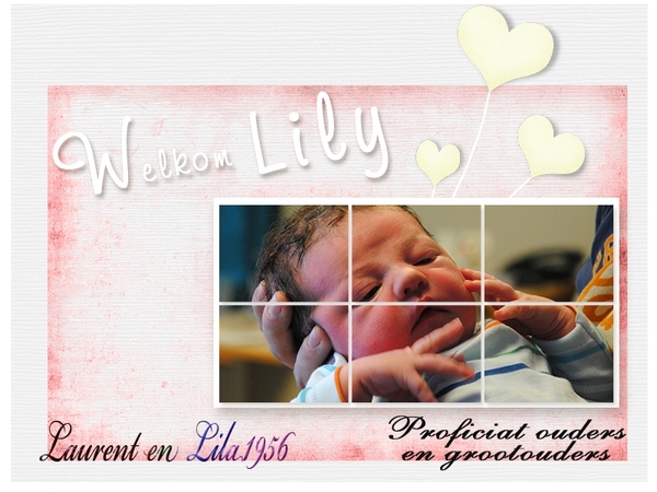 Dava, gefeliciteerd met Lily