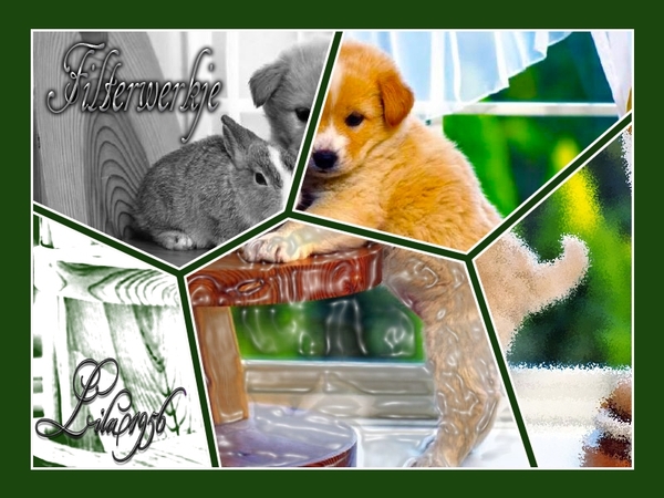 Filterwerkje naar lesje Palson eigen template maken (celgrootte v