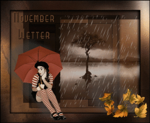 NOVEMBER-WETTER--
