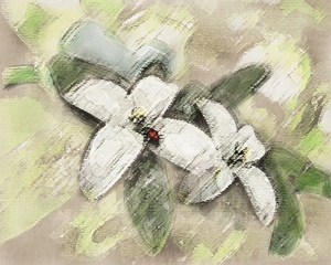 artistiek