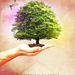 create a nature inspired photo manipulation psd tuts kopie