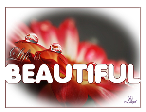les 412 Life is beautiful kopiren