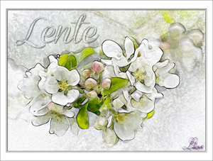 Lente 4