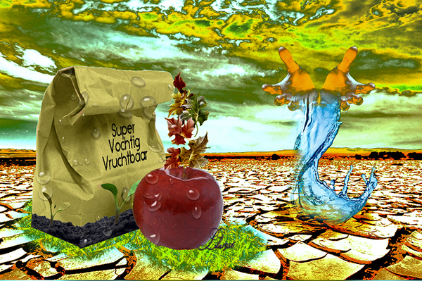 les 427 Fruitcollqge kopiren
