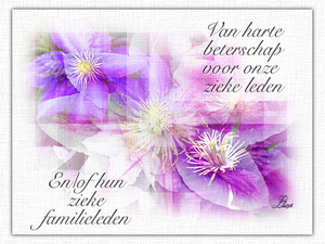 Naamloos-
