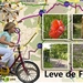 proj-Leve-de-fiets-25-7-2014