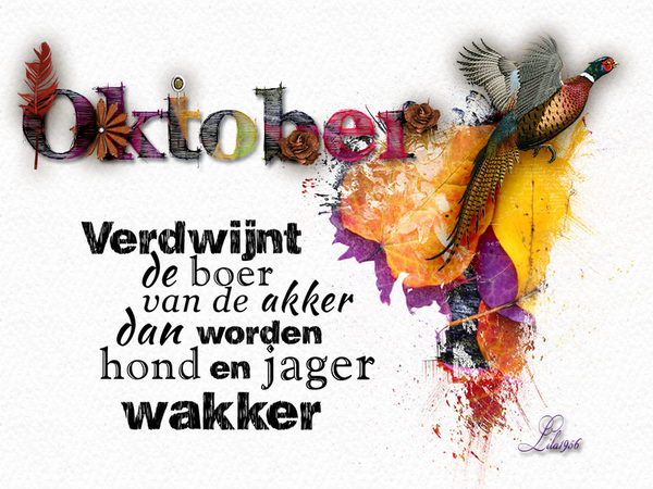 proj-oktober-2