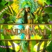 proj-302--carnaval