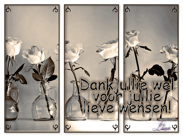 dankjewel verj kaartjes 2015