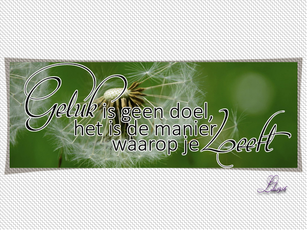 les558 wordart 4 kopiren