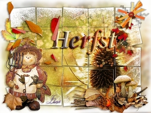proj herfst 2015
