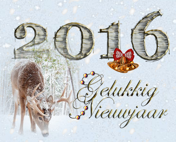 2016 1 kopiren