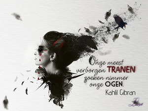 project 377-tranen