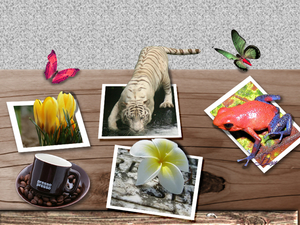les 717 Breng foto's tot leven