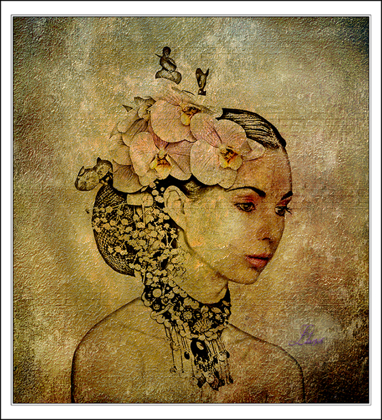 Photoshop Workbench 317-Transforming a Photo into an Illustration