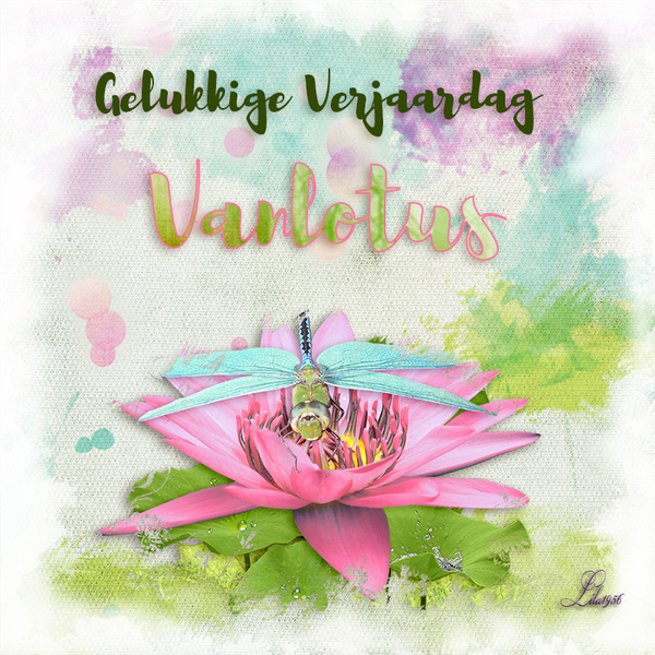 verj wk 21 2017
