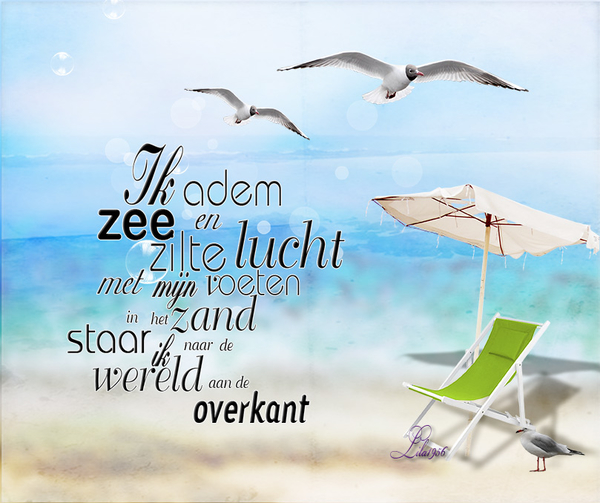 proj-422-Zon-Zee-en-Zand