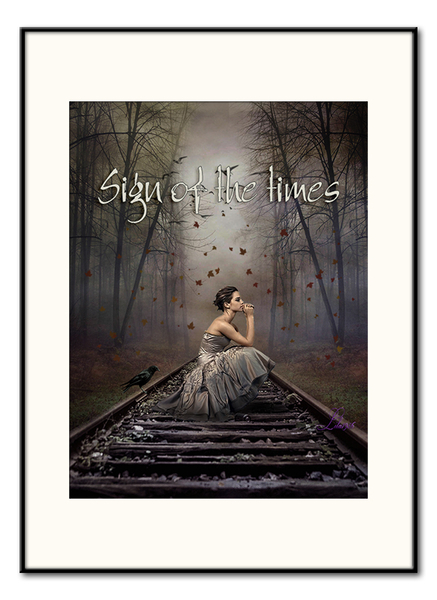 sign of the times galerie frame