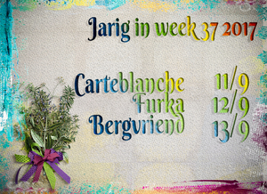 jarig in week 37 2017 kopiëren
