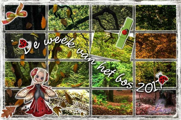 proj-437-Week--van-het-bos-2017
