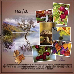 proj 434 herfst 8 kopiëren