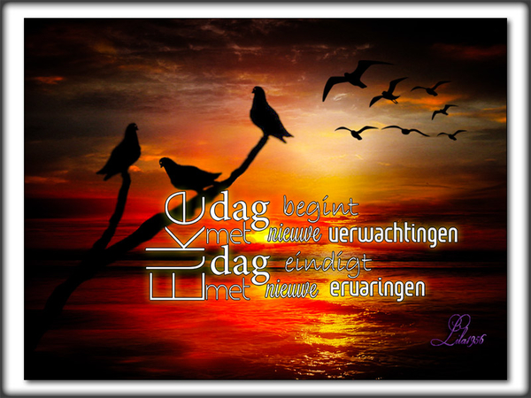 proj-433-DAG-kopiëren