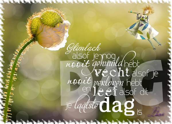 proj-433-spreekwoord-met-dag-4