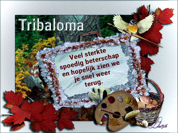 tribaloma kopiëren