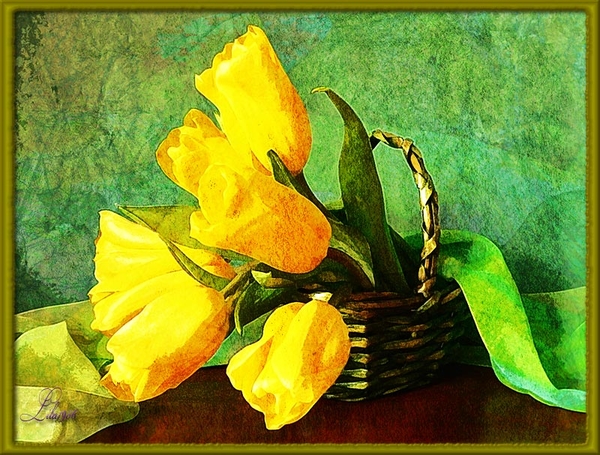 proj-450-Nat.dag-van-de-tulp3