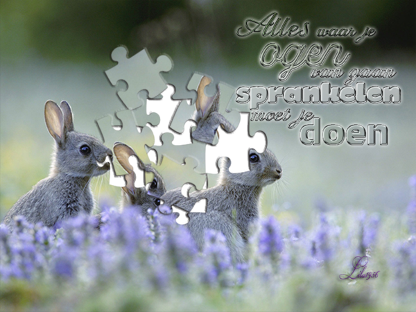puzzelen kopiëren