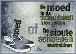 proj-500-schoenen