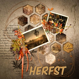 proj-484-herfst3