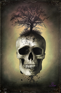 tutoriel photo manipulation paysage mysterieux kopiëren