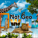 national geo wild wallpaper1