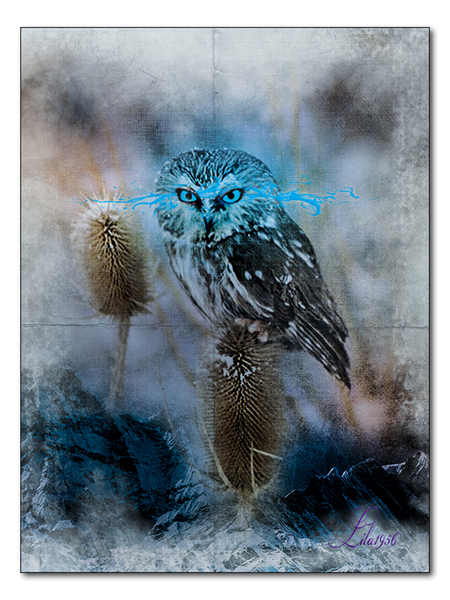 les 702 grunge effect en les 1524 owl fantasy art