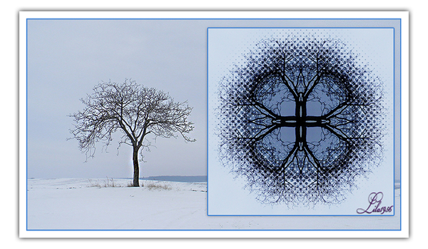 halftone en reflectie kopiëren