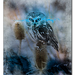 les 702 grunge effect en les 1524 owl fantasy art