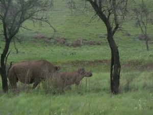 20091127 17u20 Zuid-Afrika 038