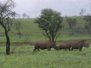 20091127 17u20 Zuid-Afrika 040