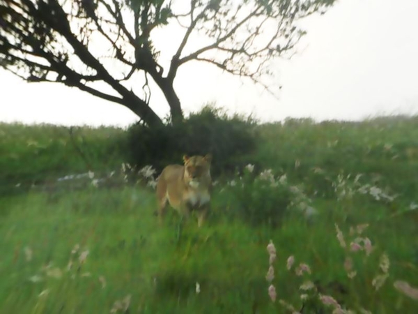 20091127 17u33 Zuid-Afrika 046