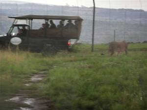 20091127 17u36 Zuid-Afrika 049