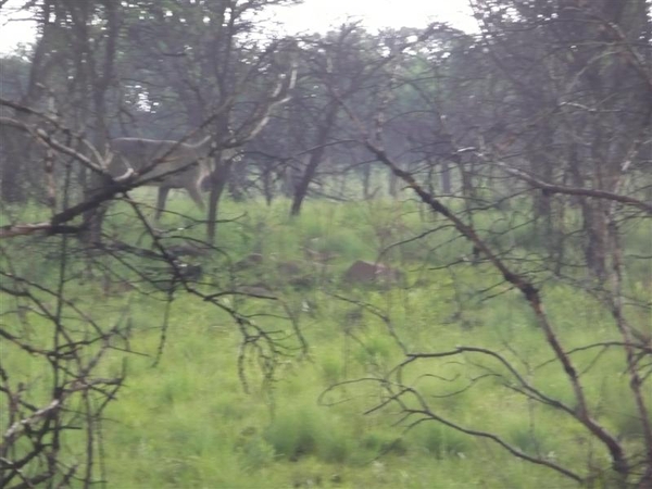 20091127 06u16 Zuid-Afrika 056