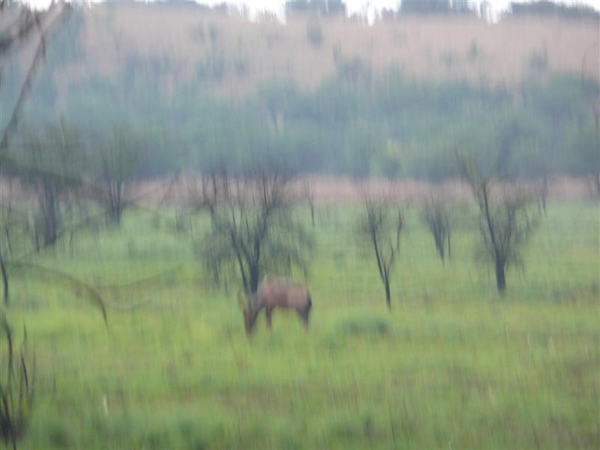 20091127 06u21 Zuid-Afrika 058