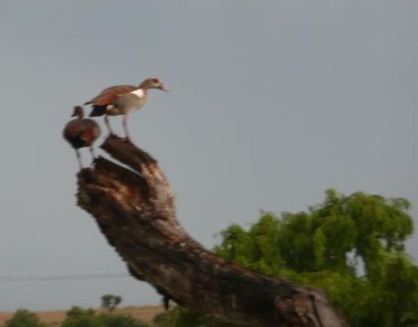 20091127 06u53 Zuid-Afrika 062